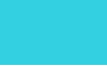 icon color